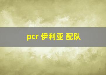 pcr 伊利亚 配队